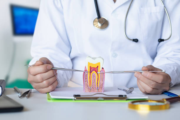 Best Emergency Dentist for Lost Fillings or Crowns in USA